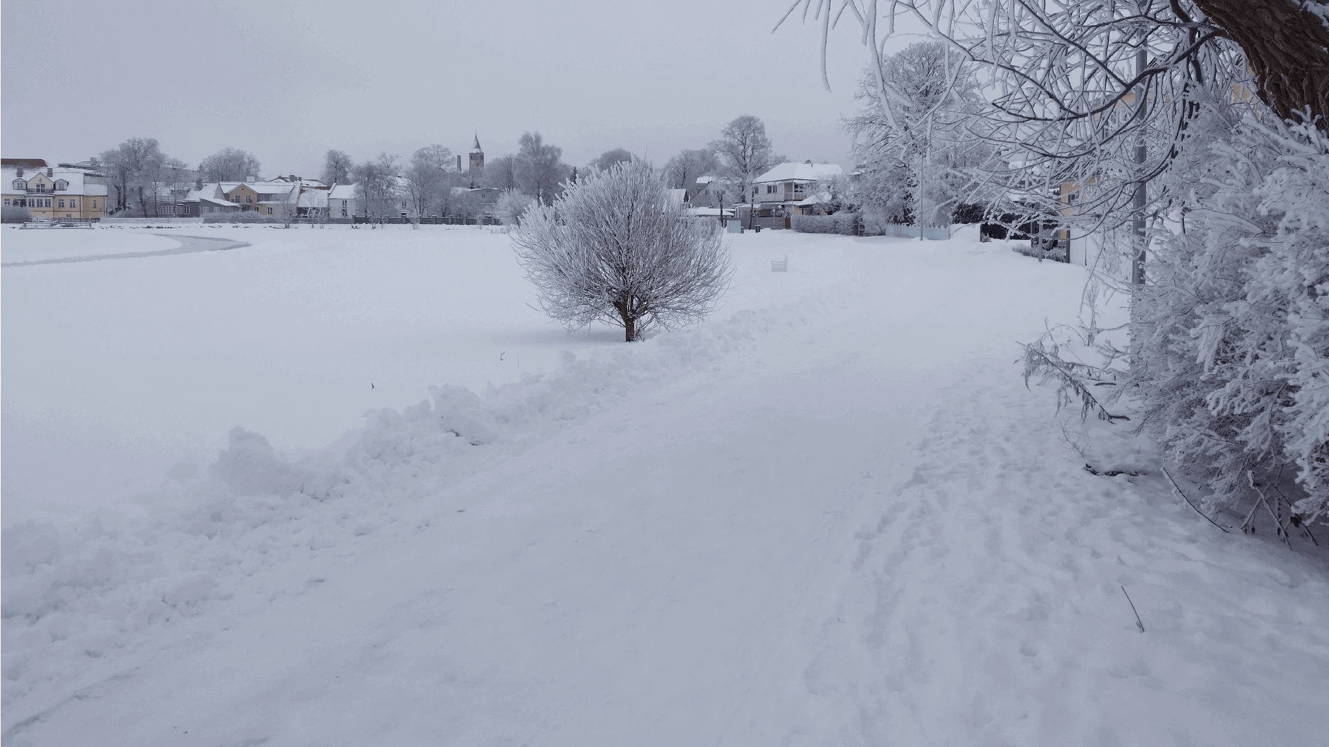 Lume koristamine ja ära vedamine